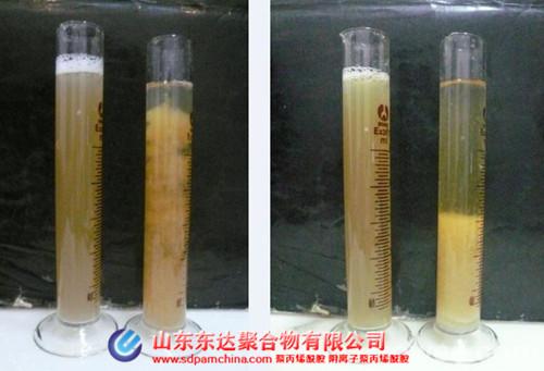 根據離子類型和規格，PAM的類型和規格分為：陽離子、陰離子、非離子和兩性離子。)采用PAM陽離子化技術的關鍵在于它的離子化程度。十三、醬類食品廢水中的泥漿采用30、40離子度的陽離子型PAM；十四、生活污水處理中壓泥階段采用50、60、70離子度的PAM；